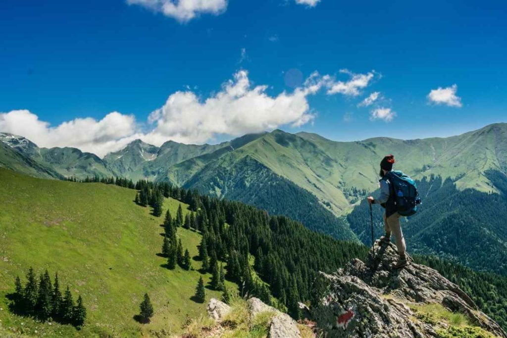 Get Paid 20K To Go Hiking And Drink Beer Lendmhe